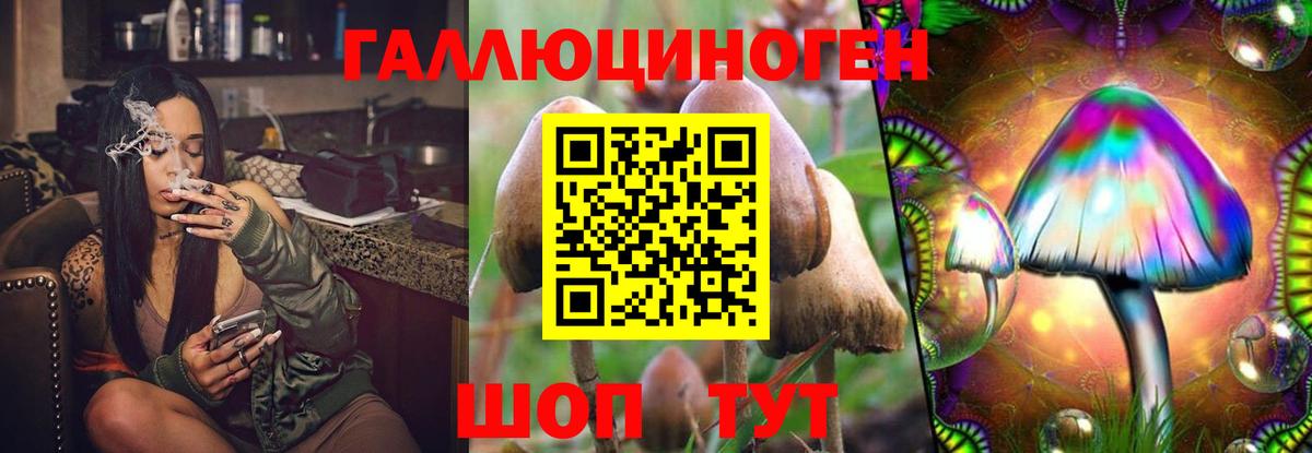 Алатырь  Галлюциногенные грибы мицелий  Вход с VPN 